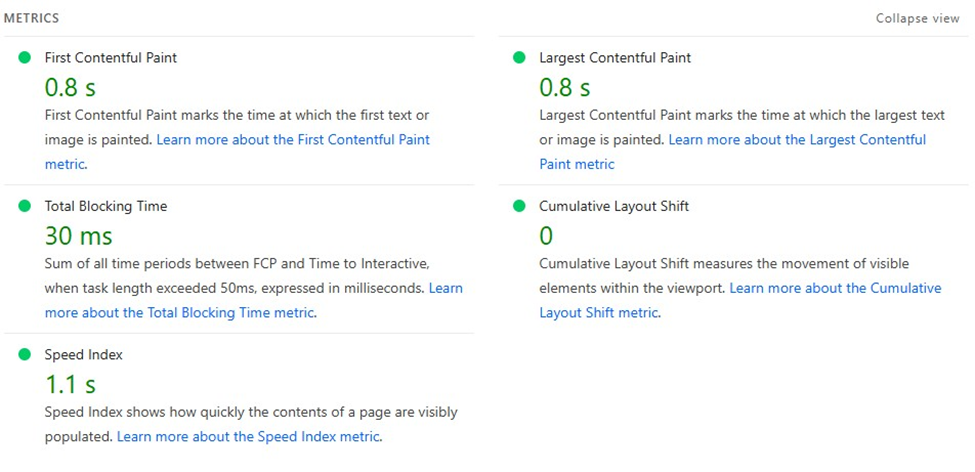 speed audit using google metrics